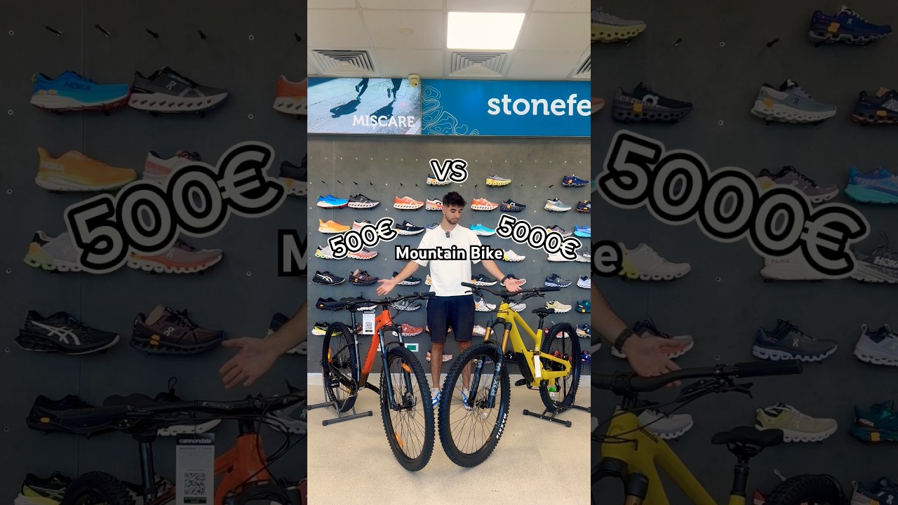 500&euro; vs 5000&euro; MTB | Stick Test #bike #bikelife #downhill #mountainbike #mtb