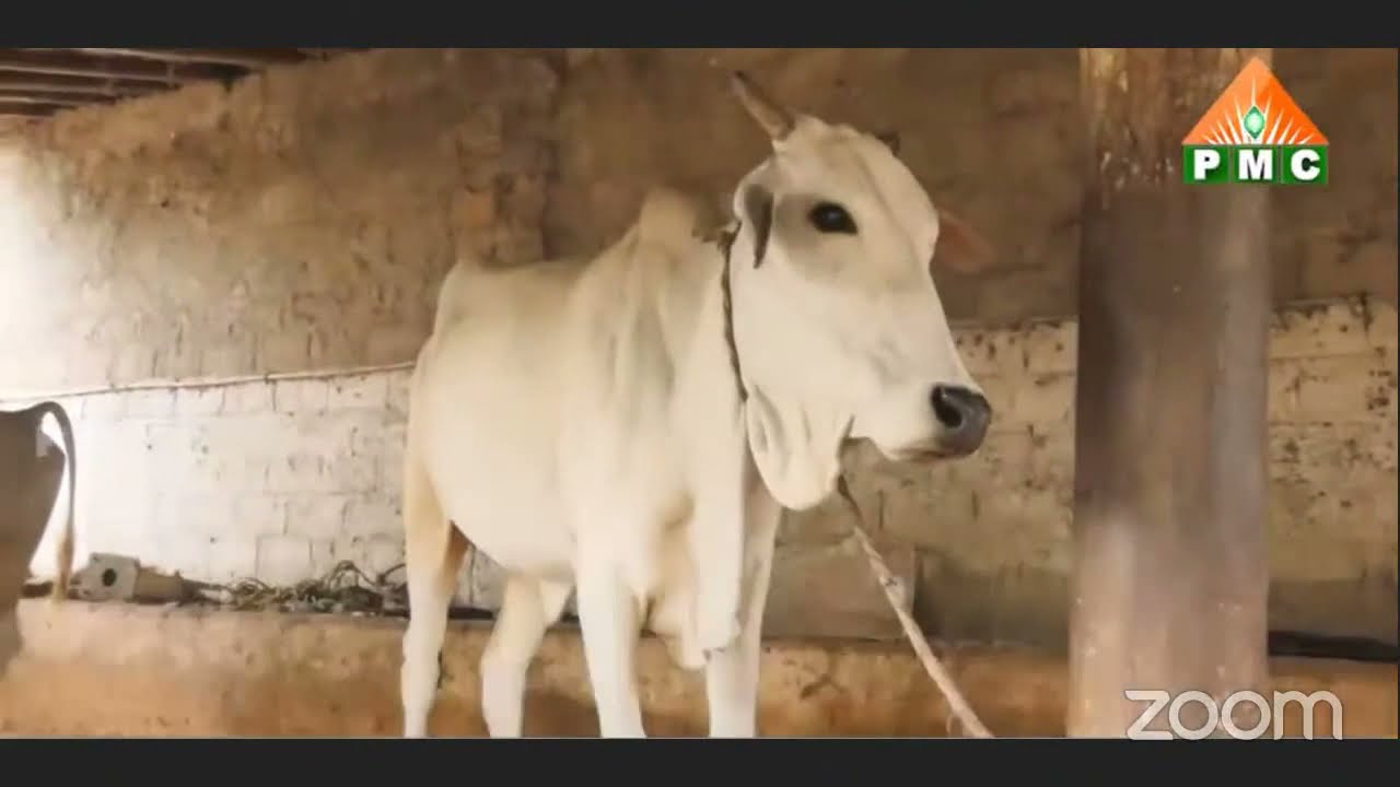 Tour of Sri Swami Ramananda Siddha Yogajnana Ashramam, Kamannavalasa - Dr. Swamy Antarmukhananda