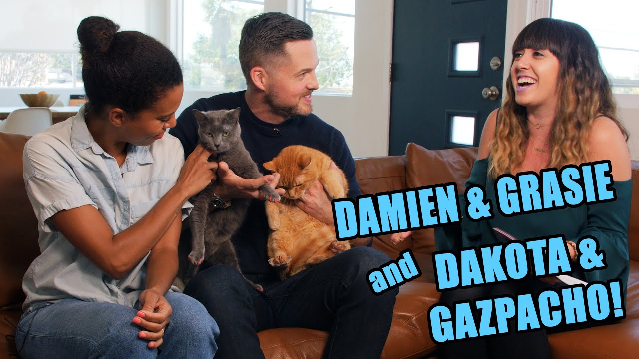 Show Me Your Kitty S3 Ep 1: Damien Fahey & Grasie Mercedes and Dakota & Gazpacho