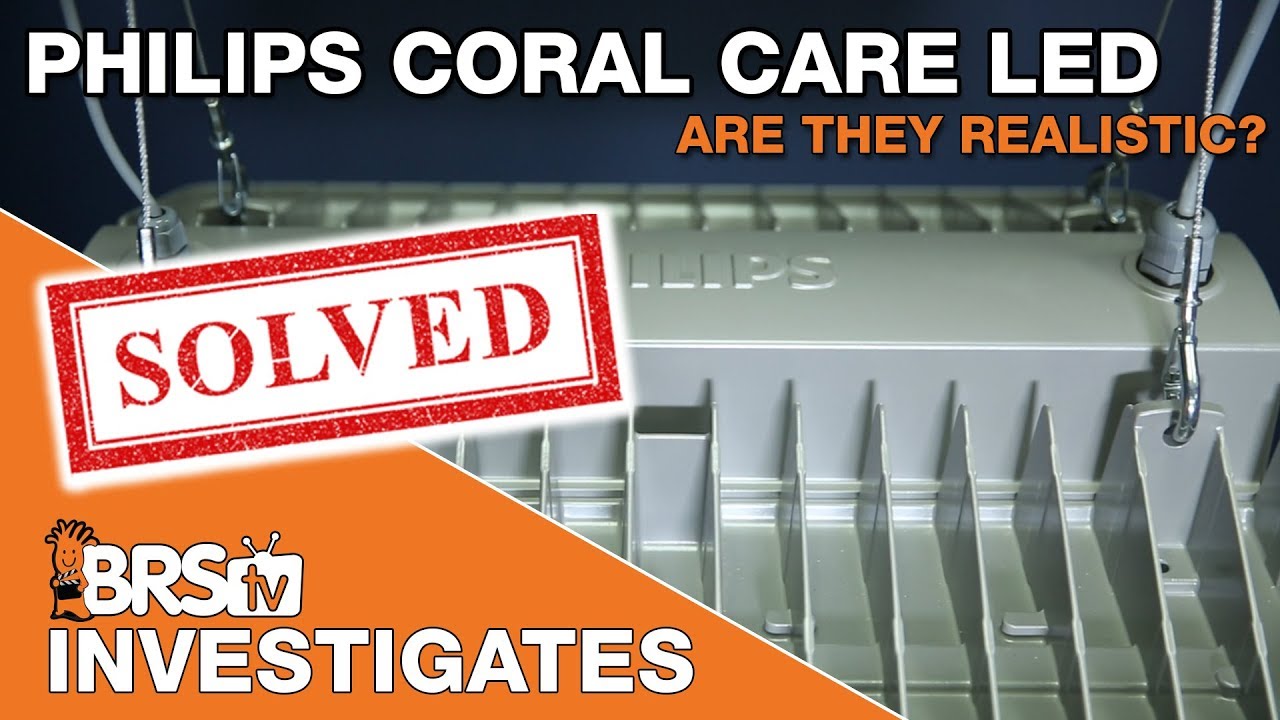 BRStv Investigates: Testing the Philips Coral Care LED's claims - Are they realistic?