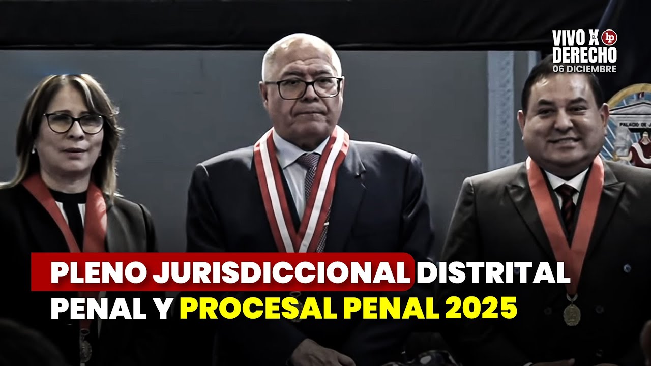 Pleno Jurisdiccional Distrital Penal y Procesal Penal 2025