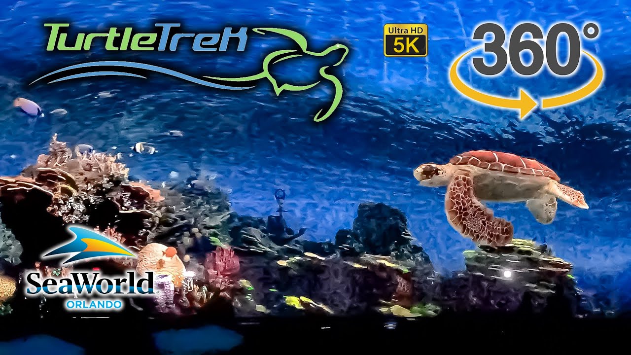 VR 360 5K Turtle Trek Full Show SeaWorld Orlando 2021 06 11