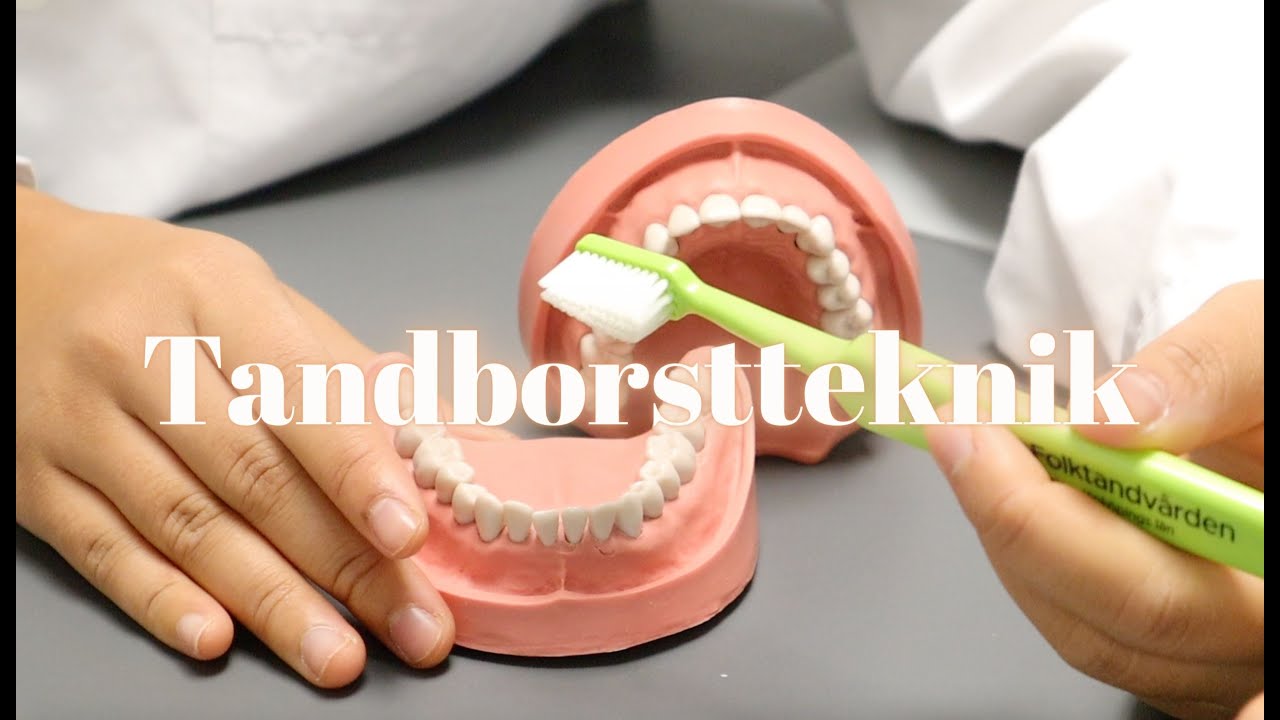 Så borstar du tänderna med en manuell tandborste