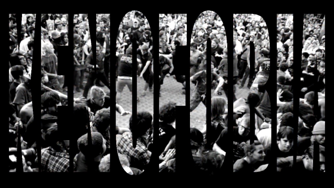 Xenofobia, tema del grupo Xenofobia