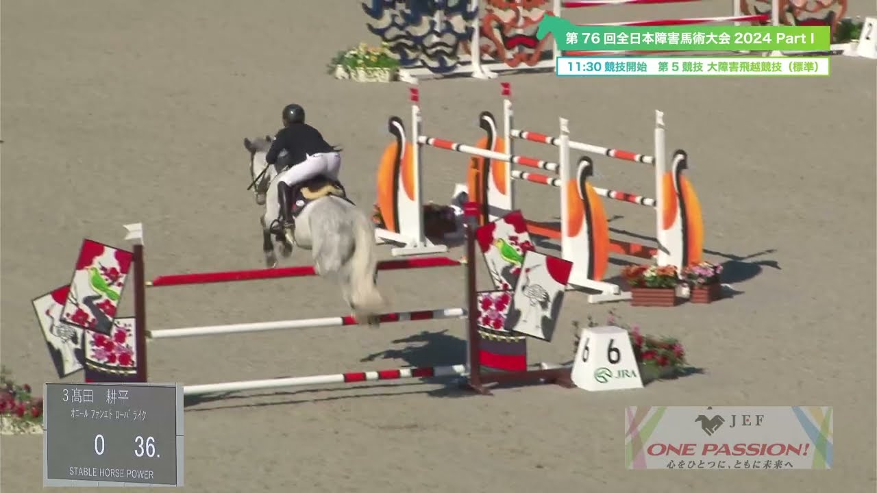 2024 11 23 第5競技 大障害飛越競技（標準）