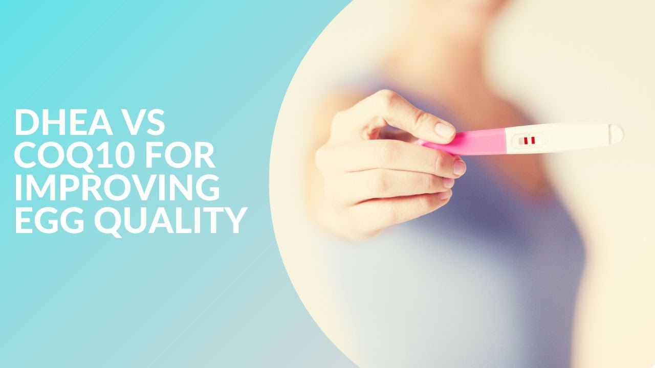 DHEA vs CoQ10 for Improving Egg Quality
