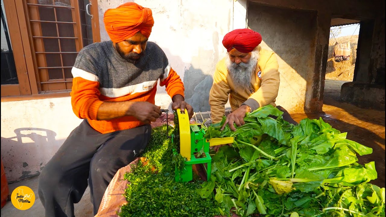 Punjab Farmer Making Village Style Sarson Da Saag Makke Di Roti Rs 99/- Only l Jalandhar Street Food