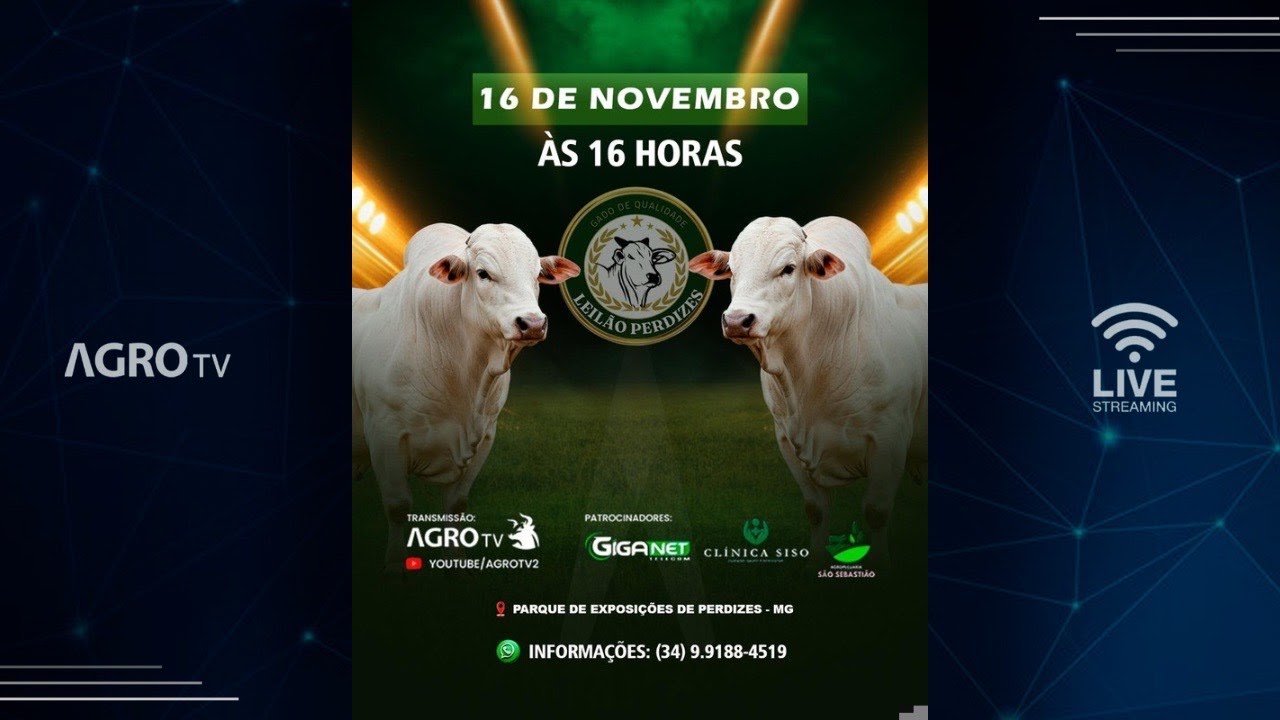 LEIL&Atilde;O PERDIZES