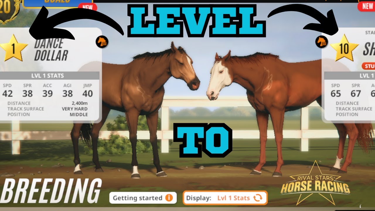 BREEDING FROM A LEVEL 1 HORSE TO A LEVEL 10 HORSE! | Rival Stars Horse Racing
