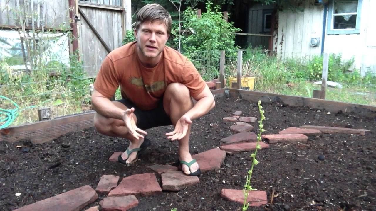 Simple and Awesome Organic Soil Amendments for your Garden