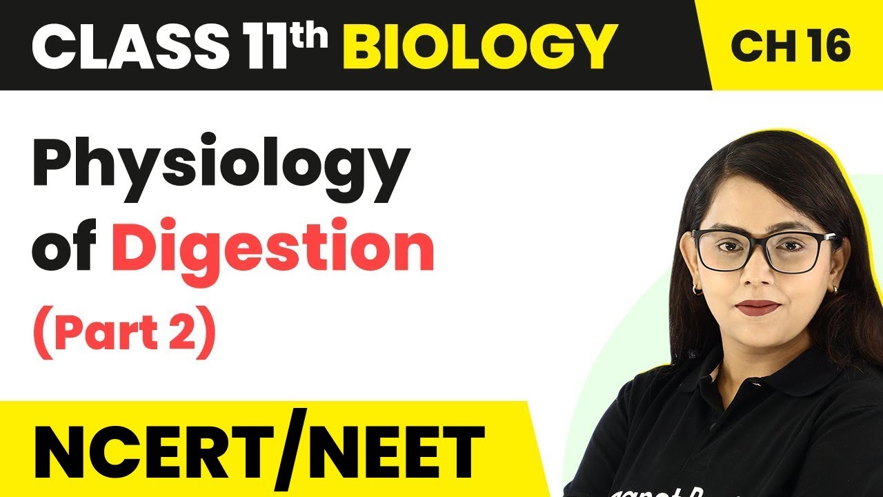 Physiology of Digestion (Part 2) - Digestion and Absorption | Class 11 Biology