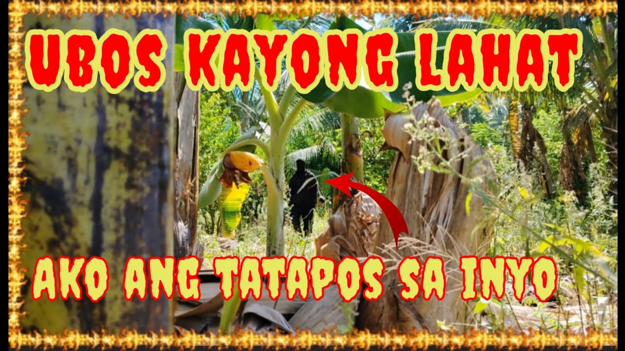 Ubosin ko lahat taohan ni kumander bagsok#viralvideo #critical 