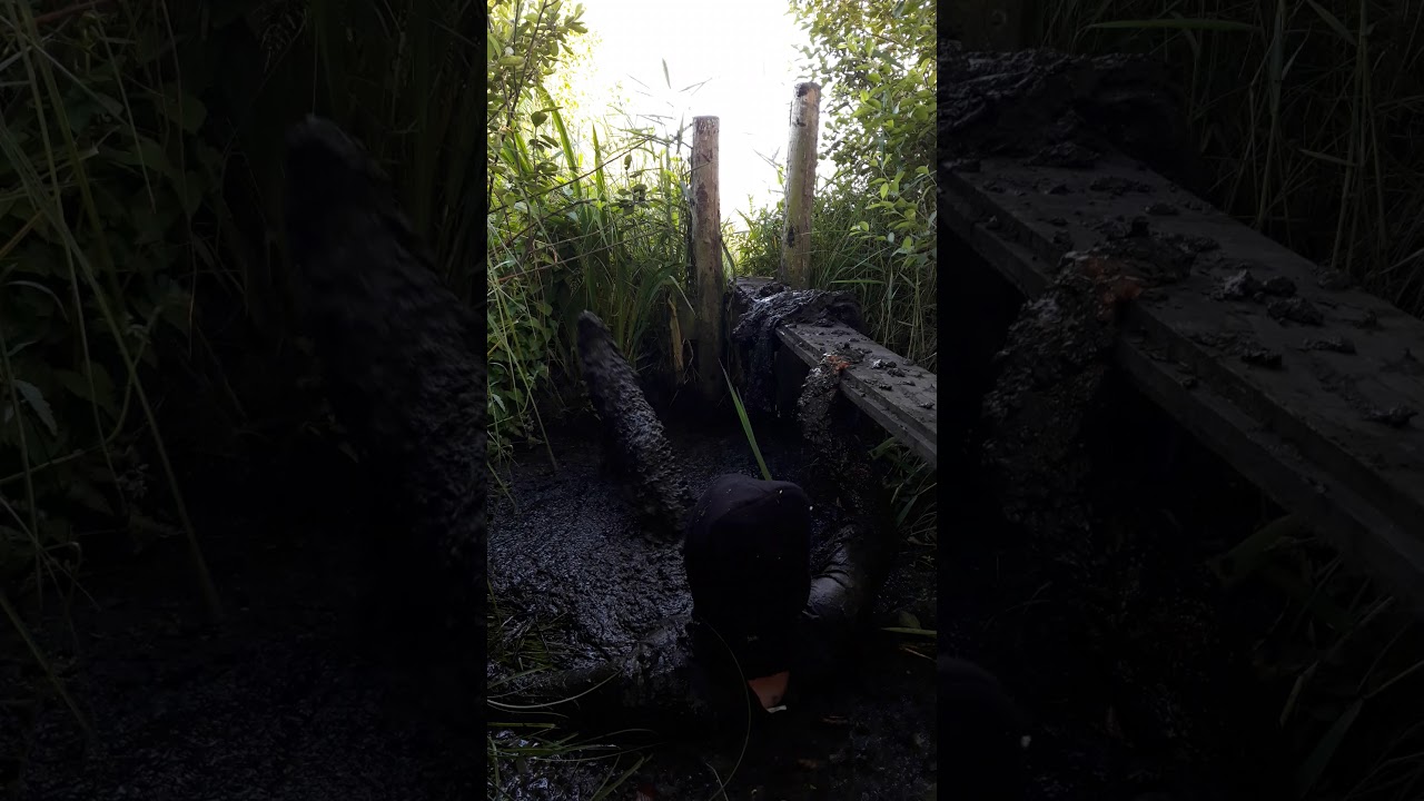 MUDDY JEANS, jumping straight in.