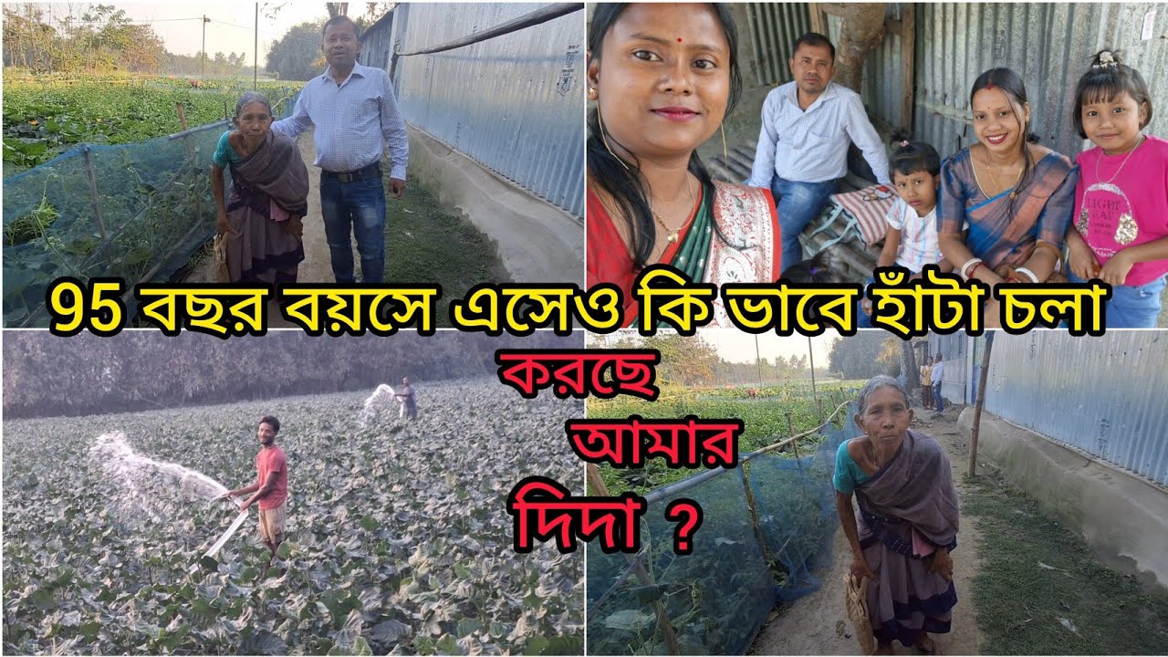 দুই ছেলে  থাকার সত্ত্বেও 95 বছর বয়সে এসে  কি ভাবে জীবন যাপন করছে দিদা ?