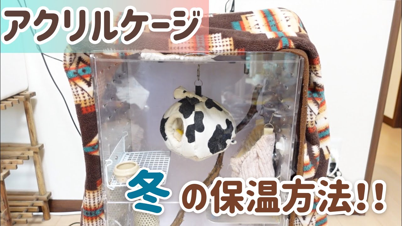 【フクロモモンガ】アクリルケージ冬の保温方法！ヒーターやサーモスタット使い方も！