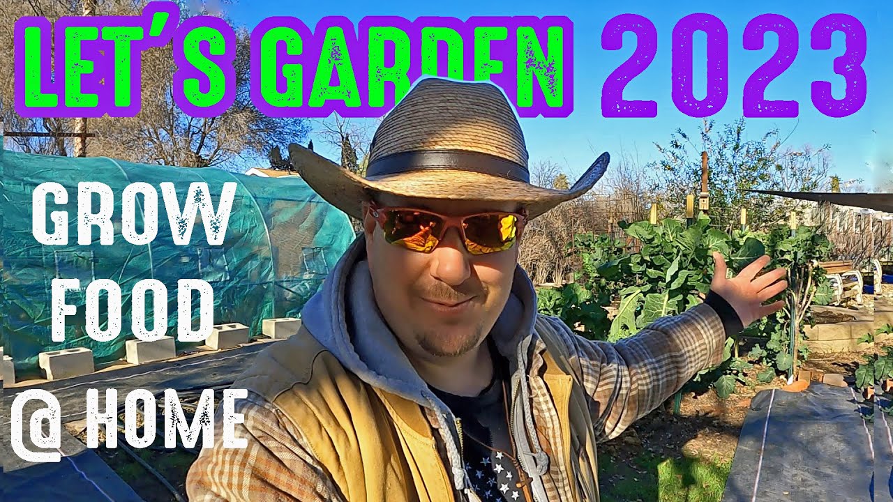 What's Growing On In The Garden? Winter Gardening Updates 2023!
