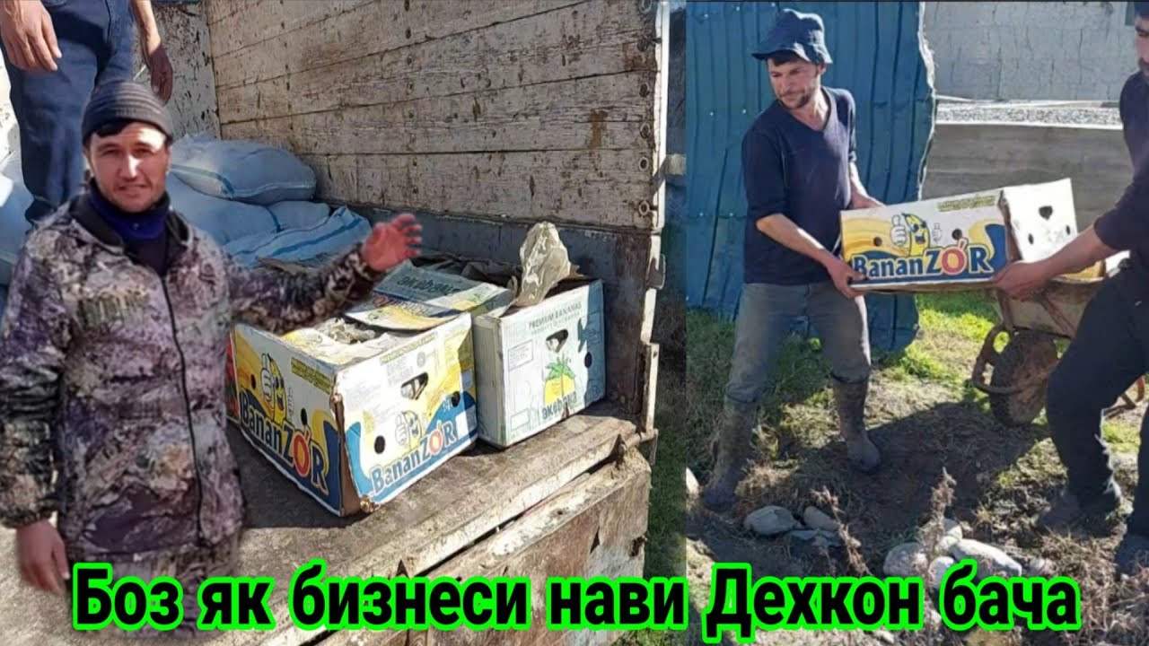 Биогумус як бизнеси нави Дехкон Бача дар Точикистон,  бубинед,  21 февраля 2023 г.