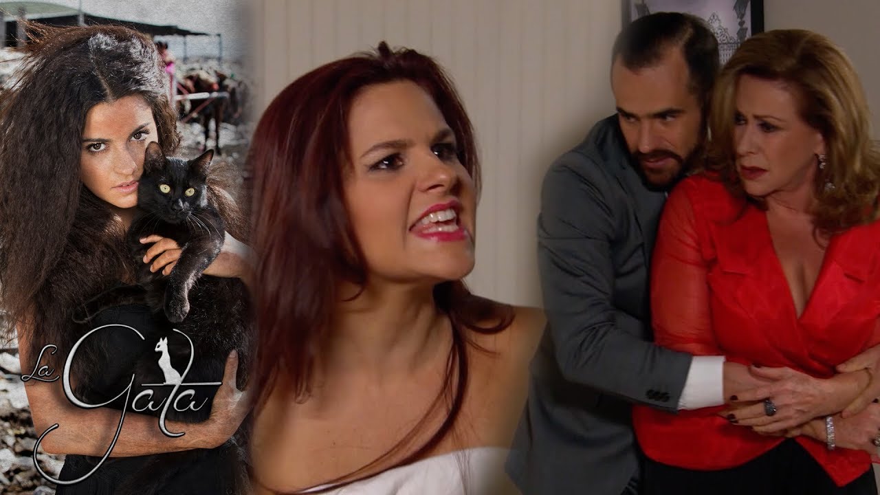 Resumen: Lorenza explota contra Gisella | La Gata - Televisa