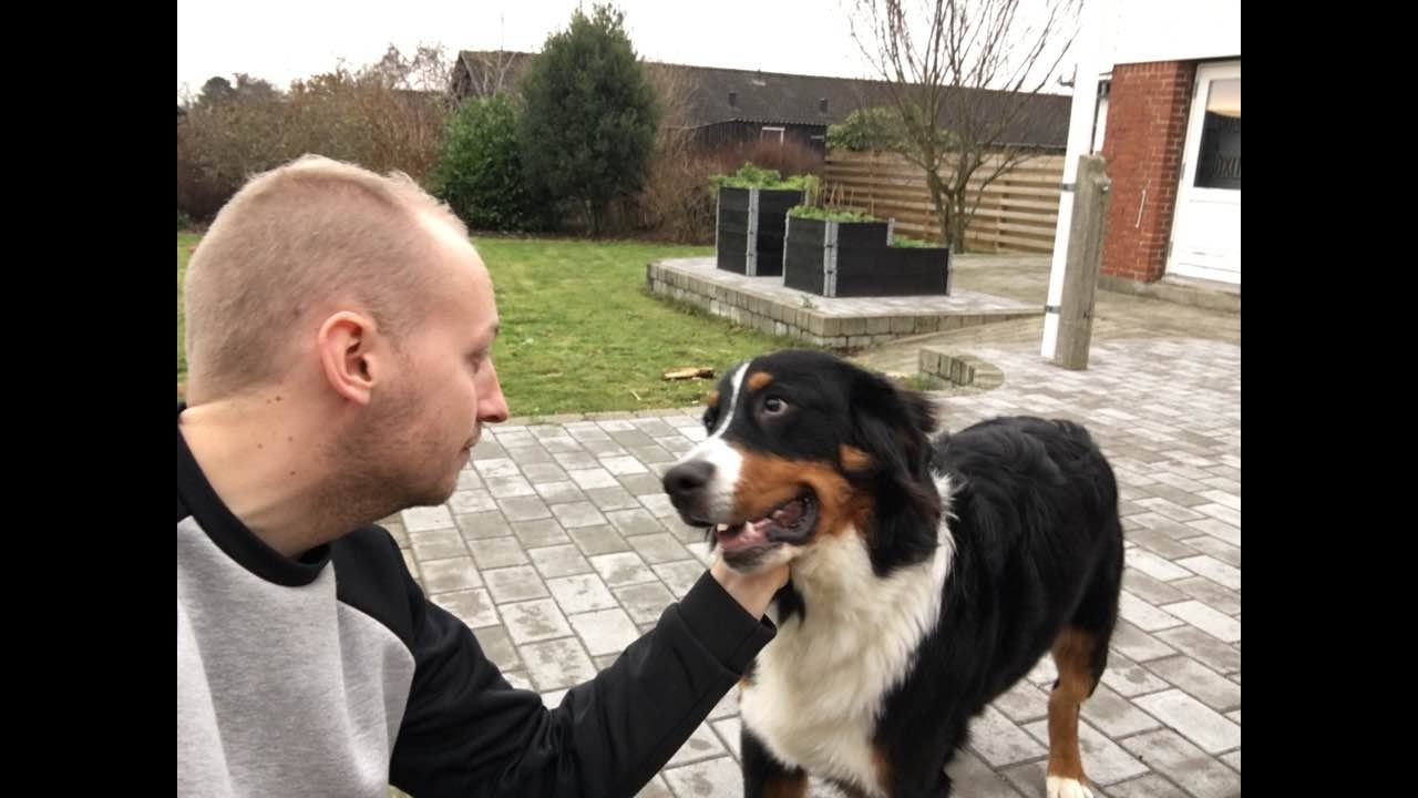 En helt almindelig lørdag