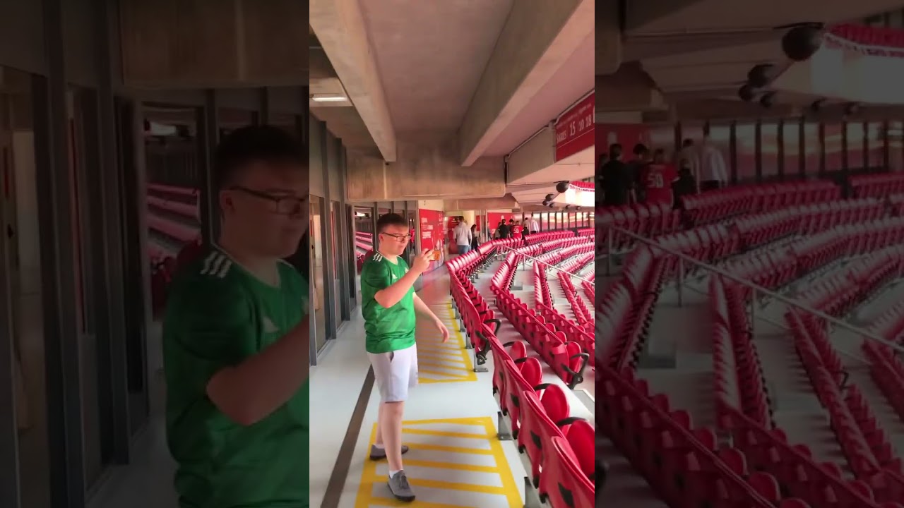 Touring estadio da Luz
