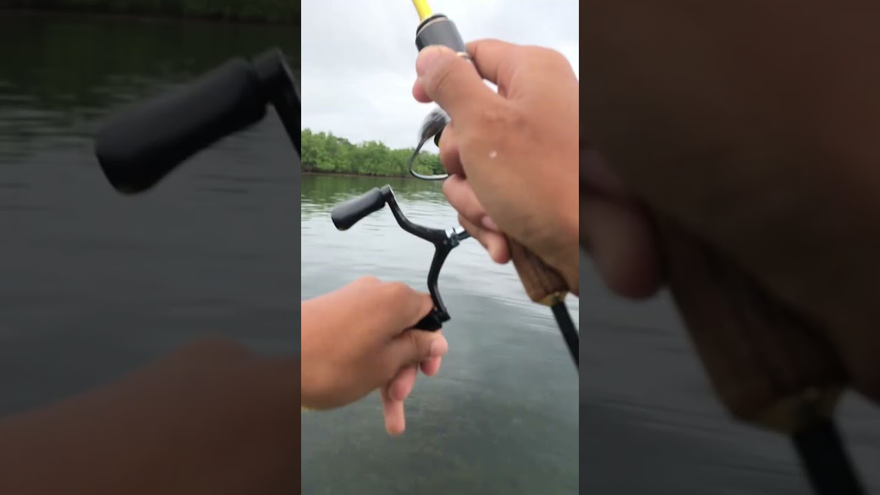 FISH ON WITH KAbords (Part 1- Softlure gaming) 