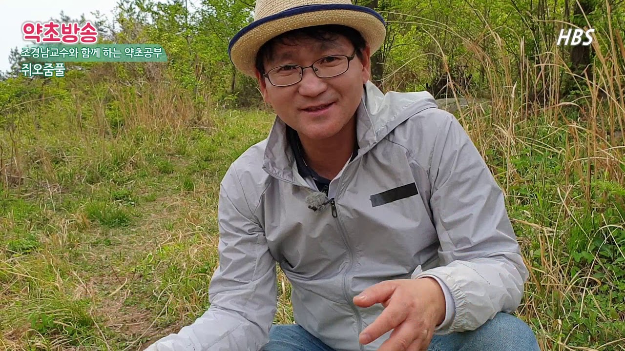 세계적으로 불면증 치료효과가 검증된 쥐오줌풀의 효능