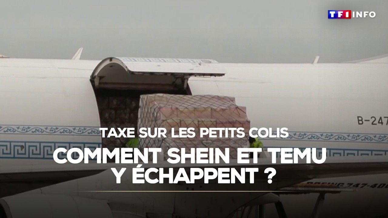 Taxes sur les petits colis : comment Shein et Temu y échappent ?｜TF1 INFO