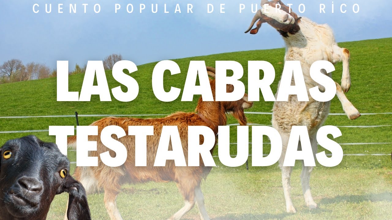 Las cabras testarudas 🐐 | Cuento popular de Puerto Rico para niños 🎧📚🌎