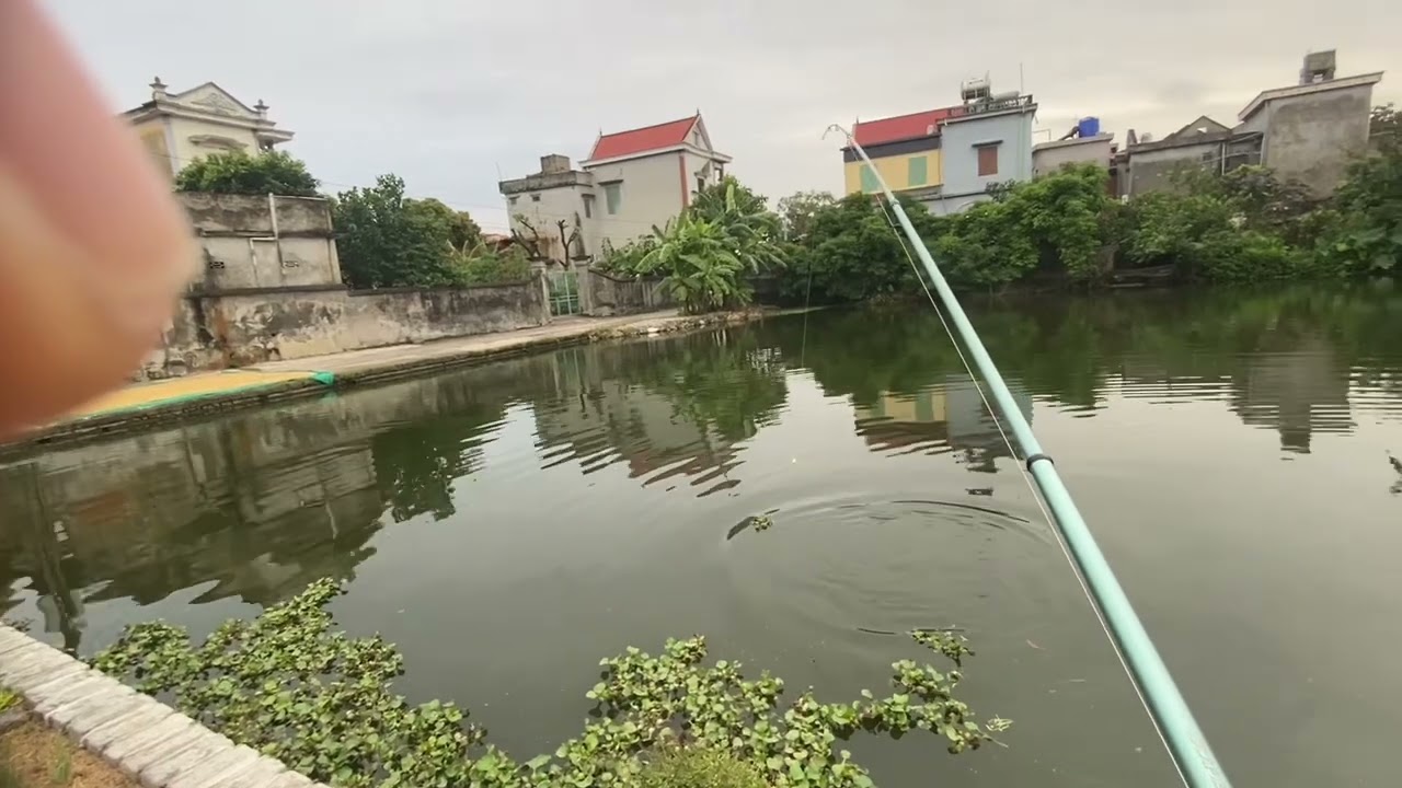 Hôm nay . Mưa rét đầu mùa em bắt con cá nên làm món cá nướng cuốn bún chấm tỏi ớt.
