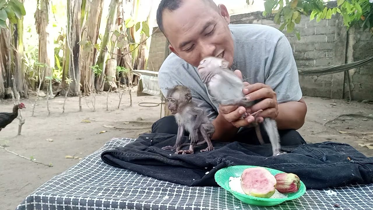 11 Maret 2026 trauma sekali B bila dia melihat ada yang jahil