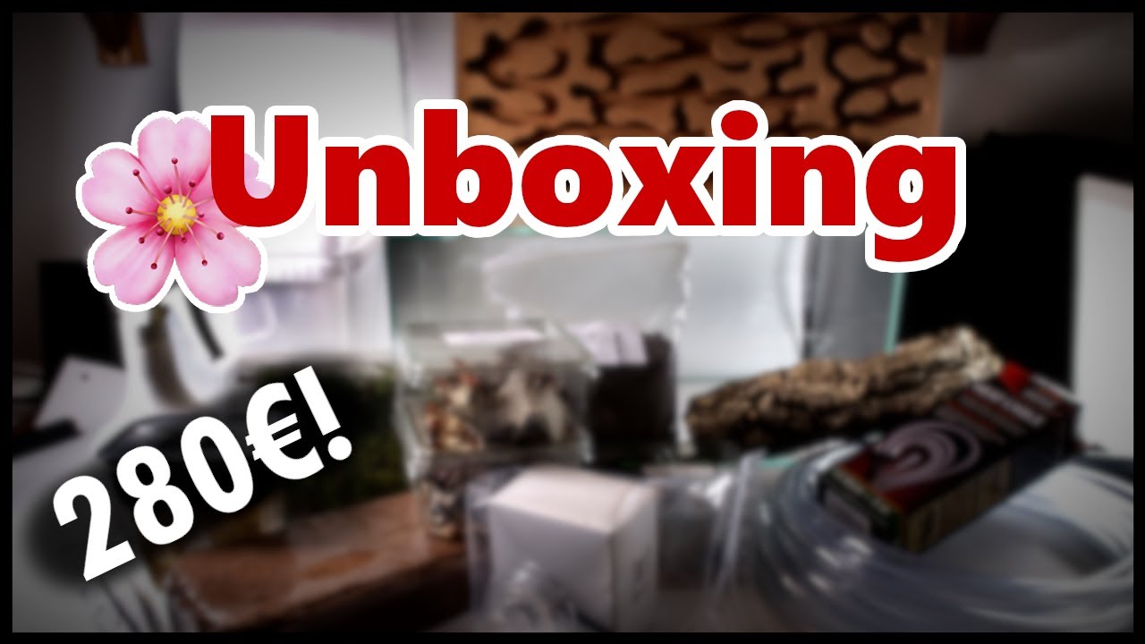 Antstore, Myants, Insektenliebe - 280€ Unboxing || Frühjahrsprojekt #1
