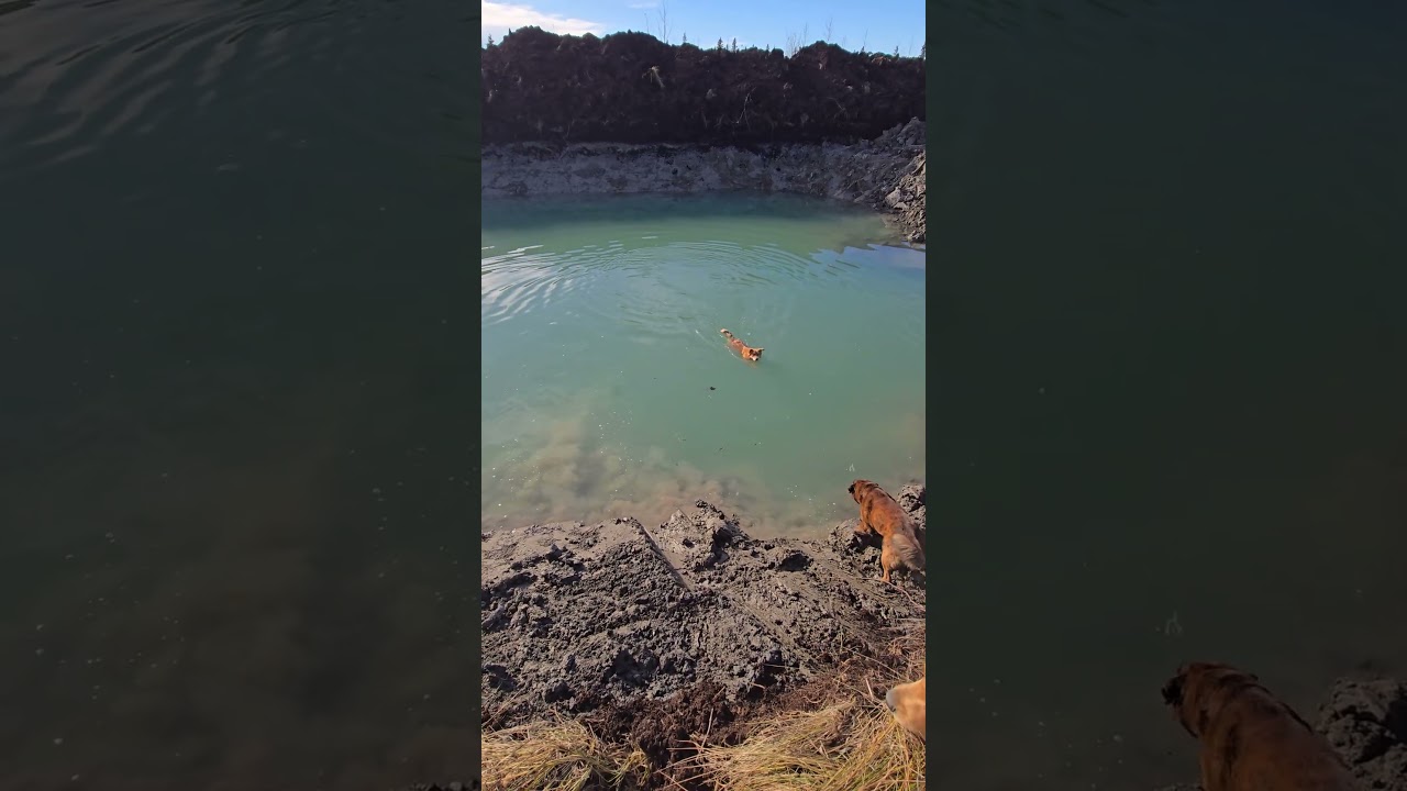 sneak peak at Clark farm.  finally getting our project started new pond 