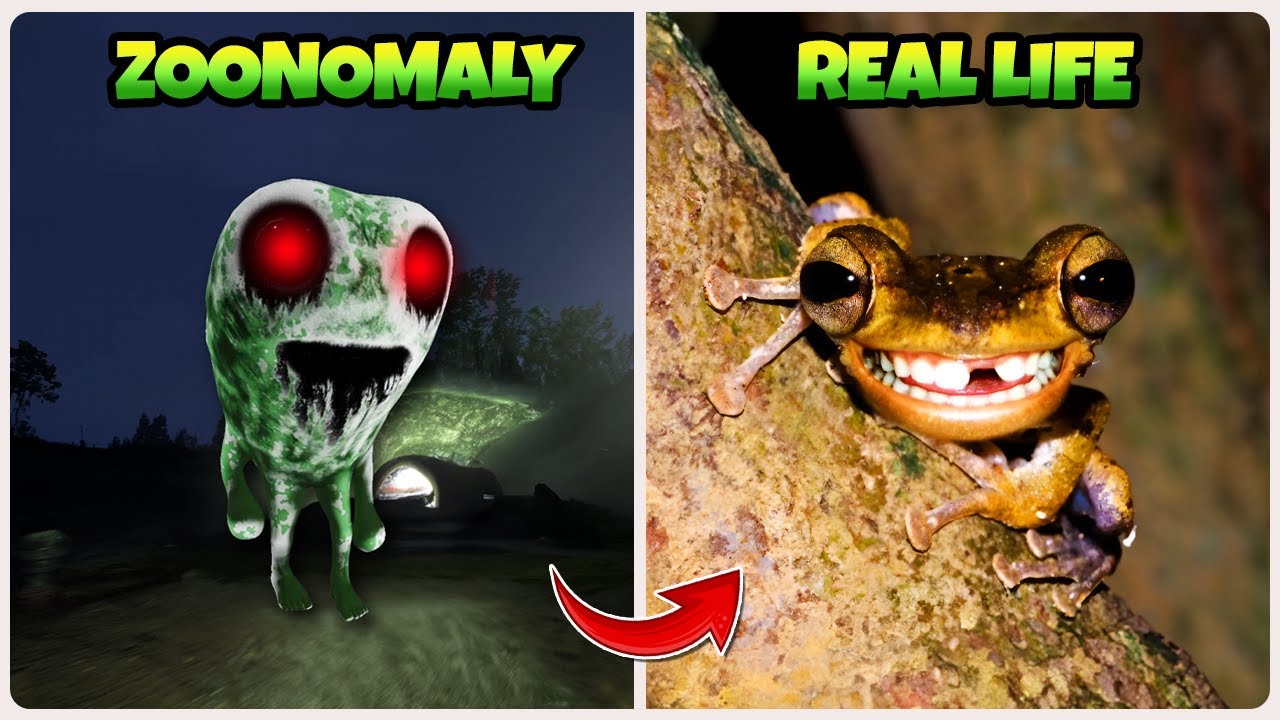 Zoonomaly & Poppy Playtime Chapter 3 - Game and Real Life Meme Versions🔥 (Character Comparison)
