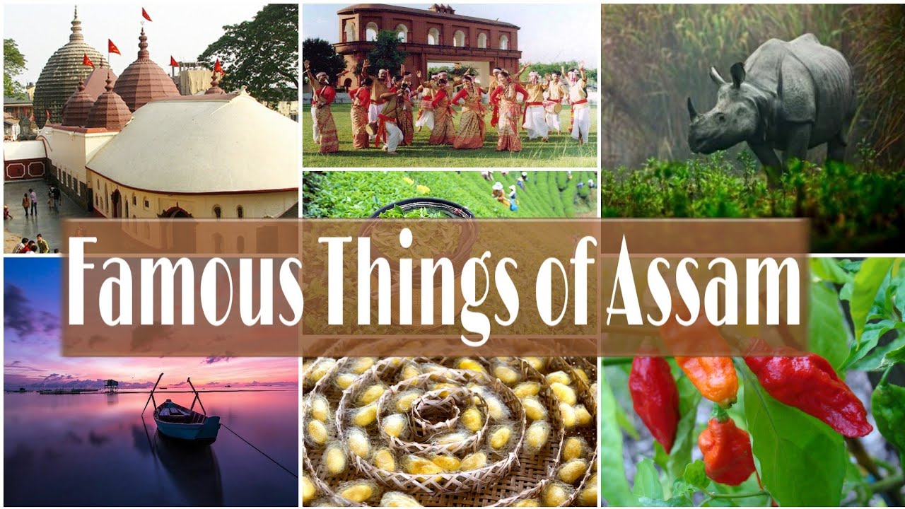 Famous things of Assam|Top 7 things Assam is famous for|Assam|Wind touch
