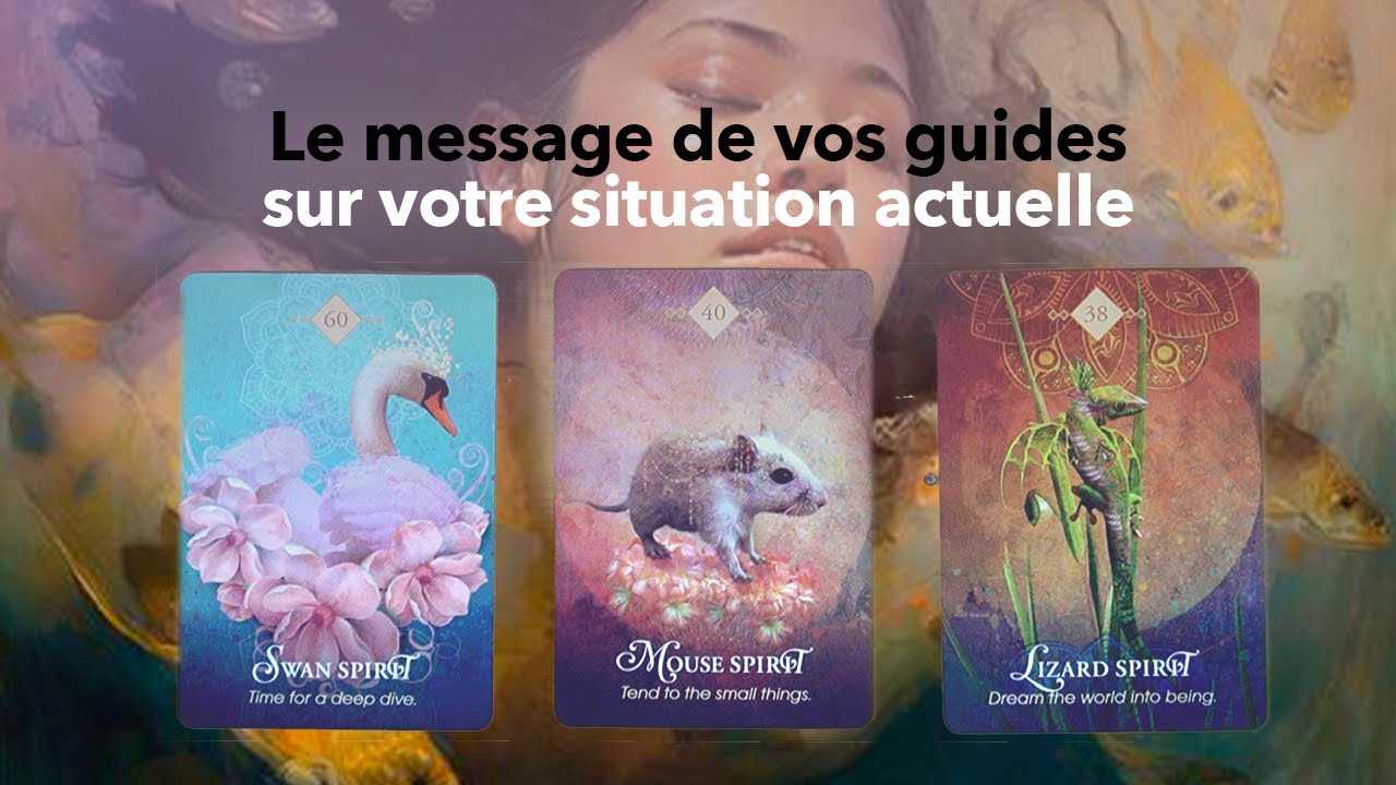 Le message de vos guides sur votre situation 🧐✨🤝 | tirage à choix (intemporel)