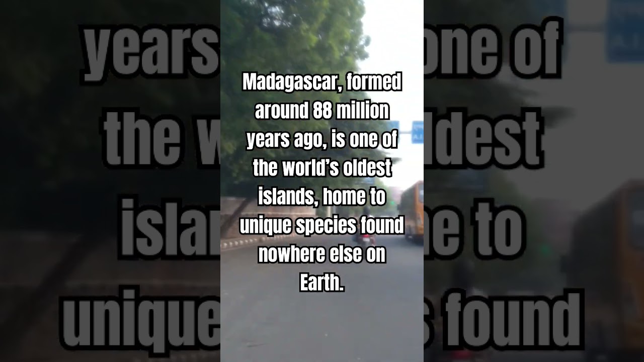 🏝️ Discover Madagascar:  World’s First Island and Its Unique Wildlife! #IslandHistory #Biodiversity