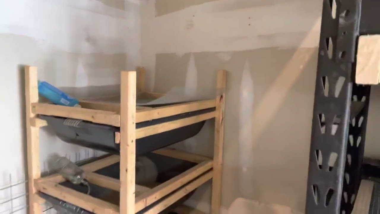 ASF Rat -Rack Update - Huge grow out bins