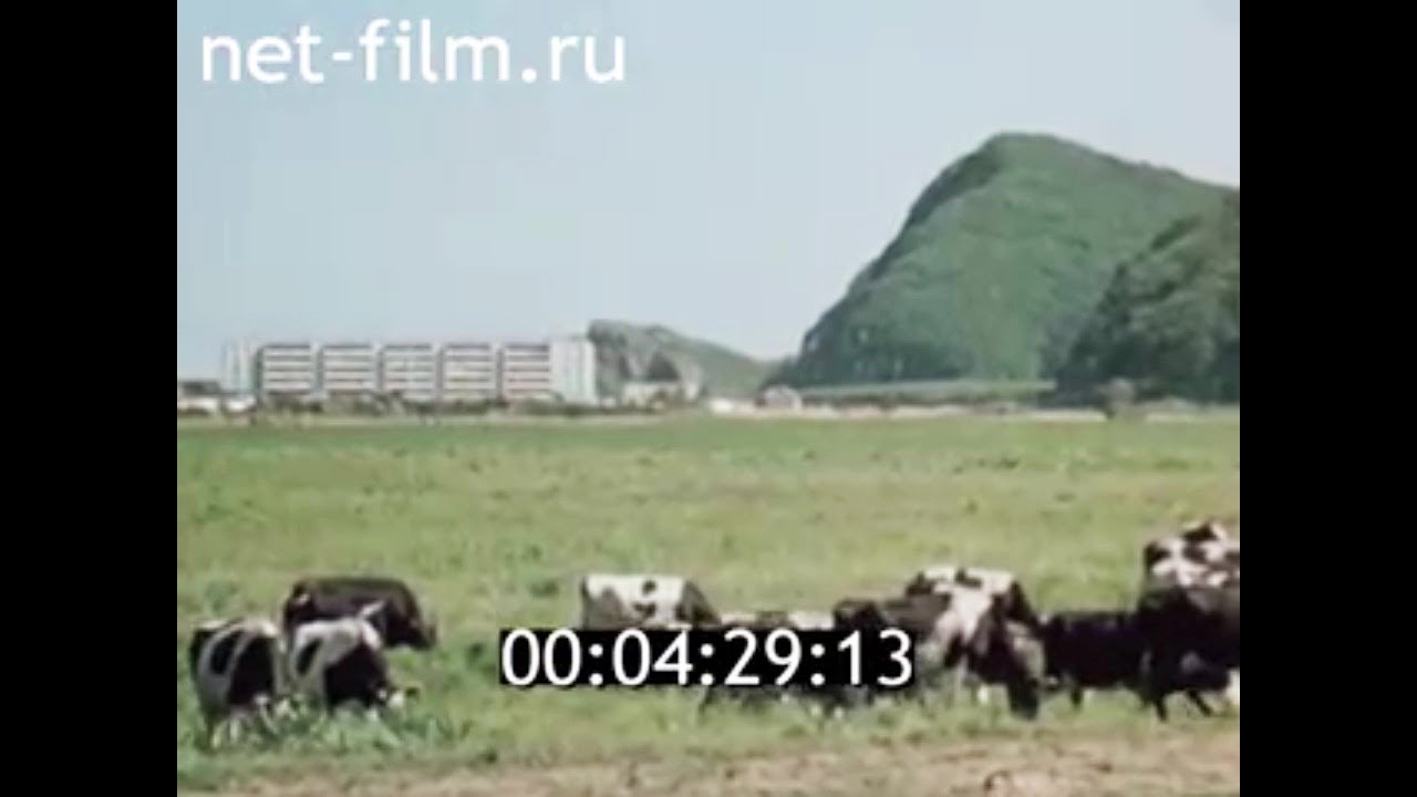 1982г. Дальнегорск. 