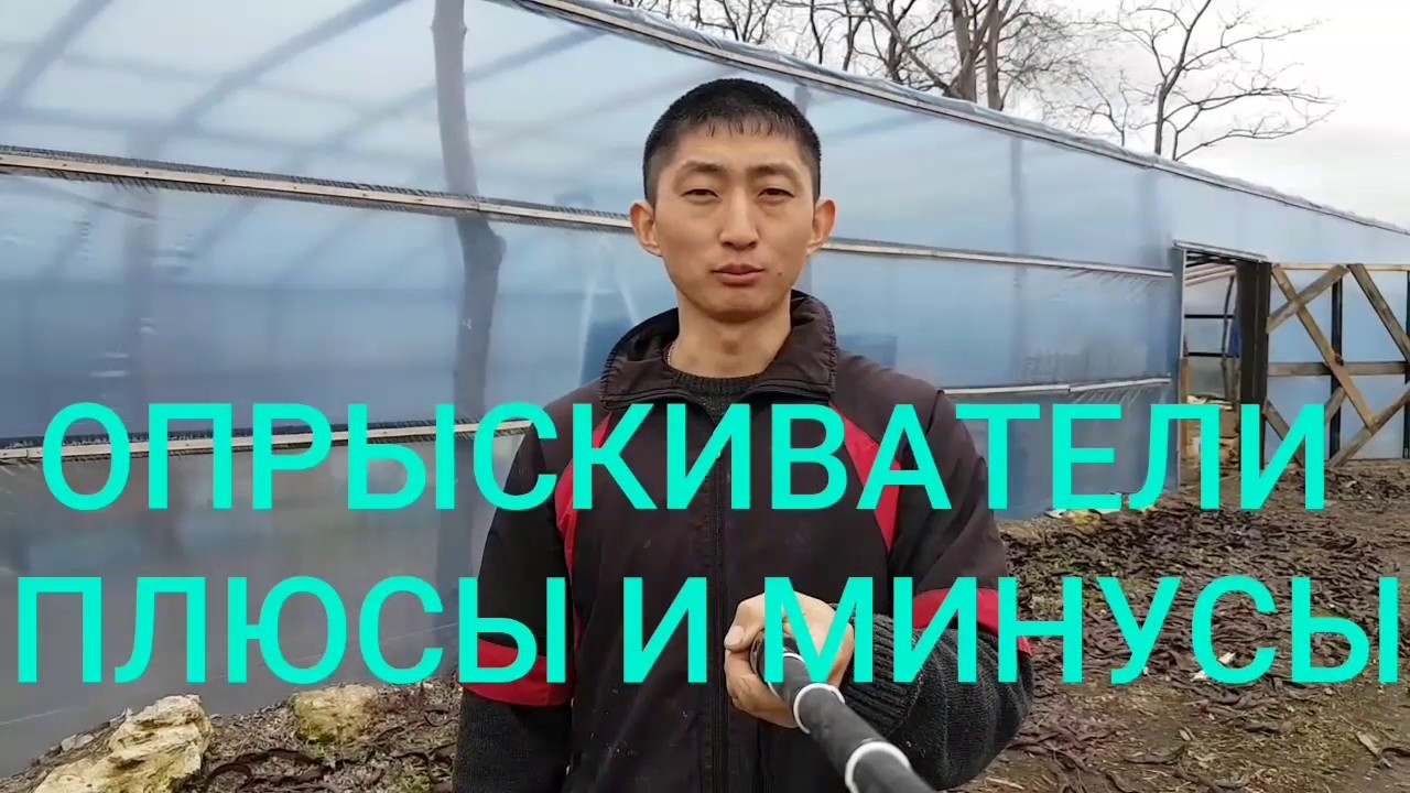 Какие ОПРЫСКИВАТЕЛИ нужны. Бензиновые, электрические, ручные, и т.д. Плюсы и Минусы. Настроение нет