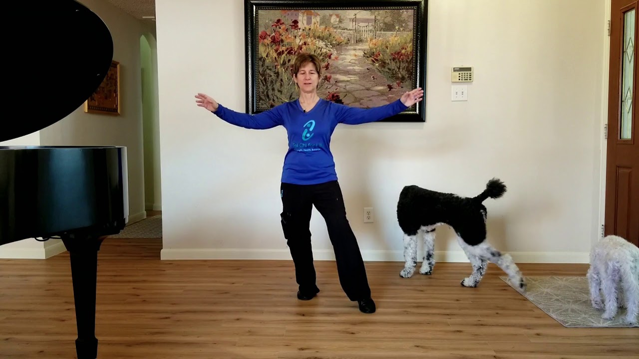Tai Chi Kicks