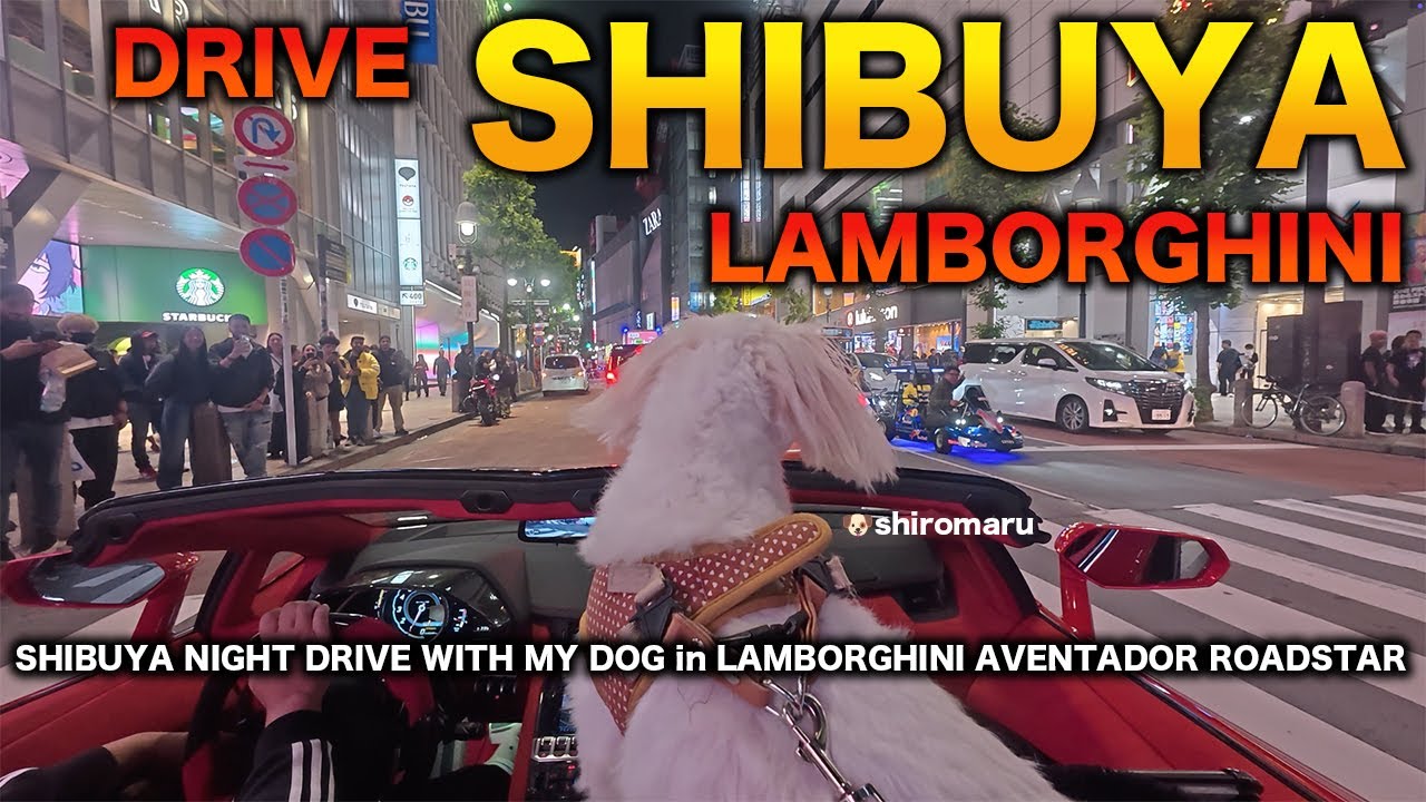 SHIBUYA NIGHT DRIVE WITH MY DOG in LAMBORGHINI AVENTADOR ROADSTER  |  JAPAN TOKYO 4K