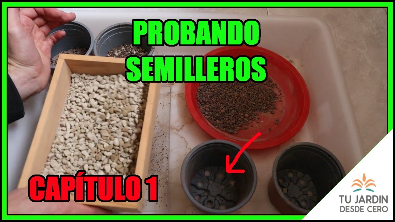 🤔 Preparo los SEMILLEROS de cactus con el POLVO de la GRAVA [Experimento] PARTE 1/4