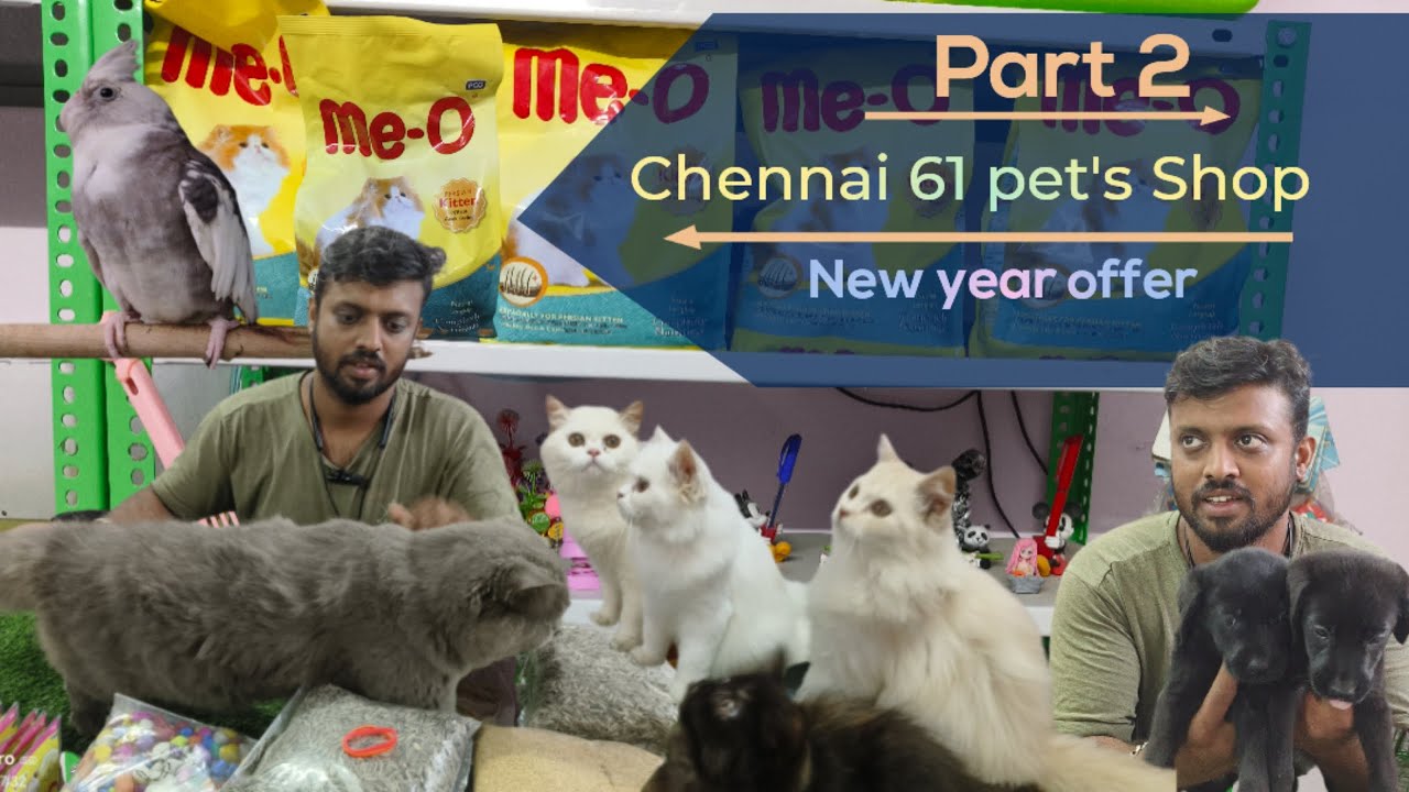 Chennai 61 Pet Shop Part 2: New year OFFER 2026 | Puppies, Kittens & More! 🐕