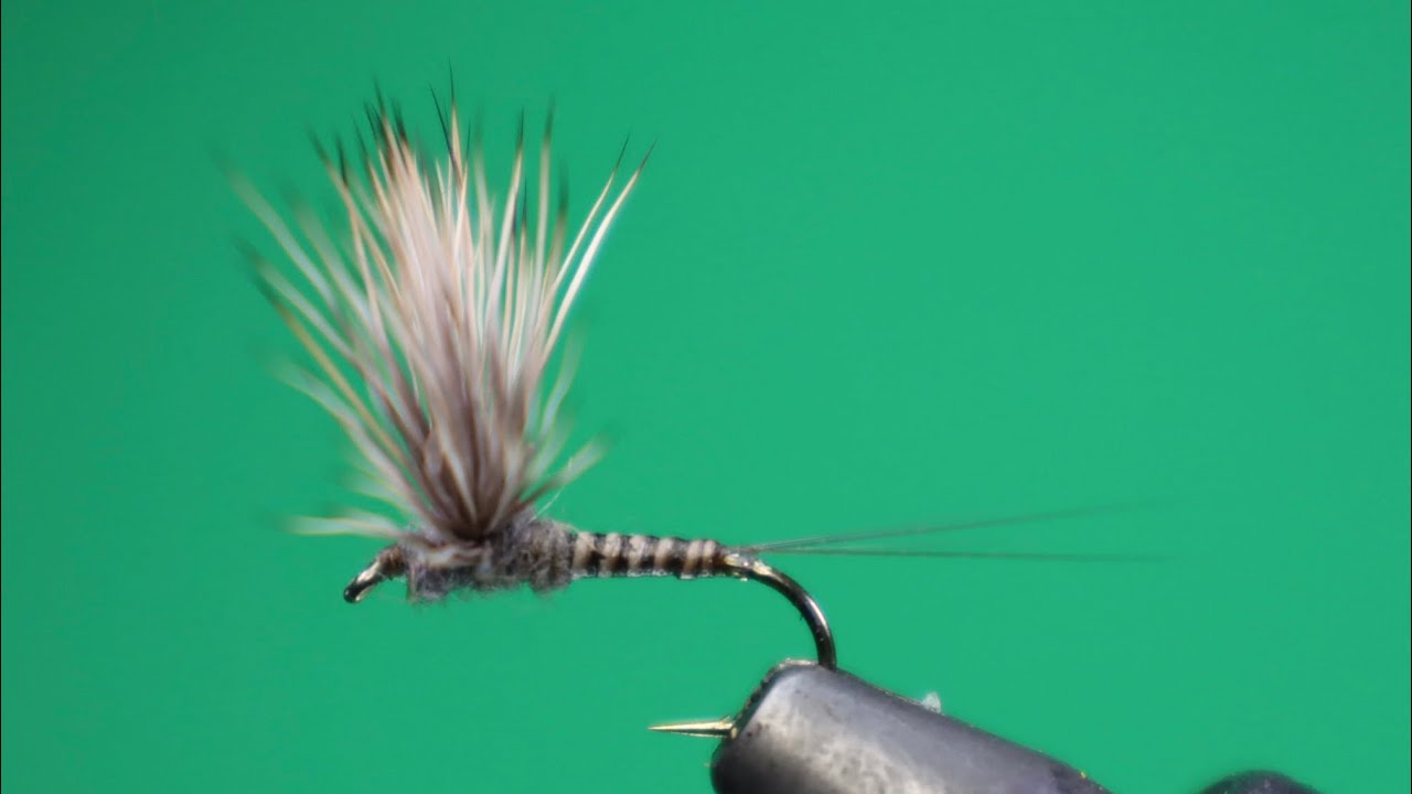 QUILL GORDON COMPARADUN - FLY TYING TUTORIAL
