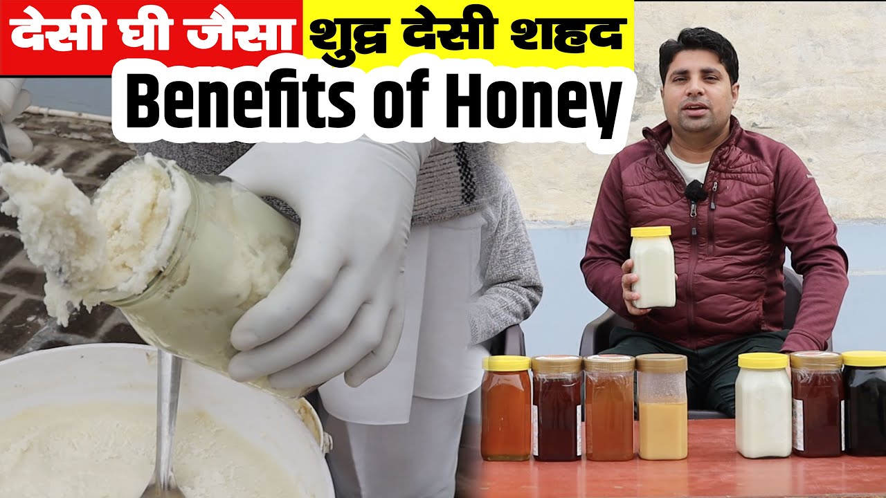 देखिए असली शहद कैसा होता है 🔥😍 | Pure Natural Honey | Mustard Honey Farming  | New Business Ideas