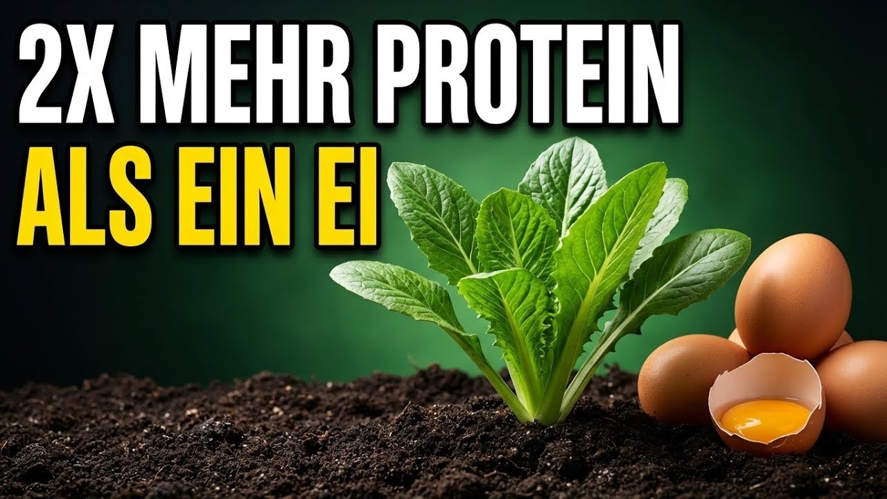 Einmal Pflanzen und bis zu 140 € pro Monat beim Einkauf sparen
