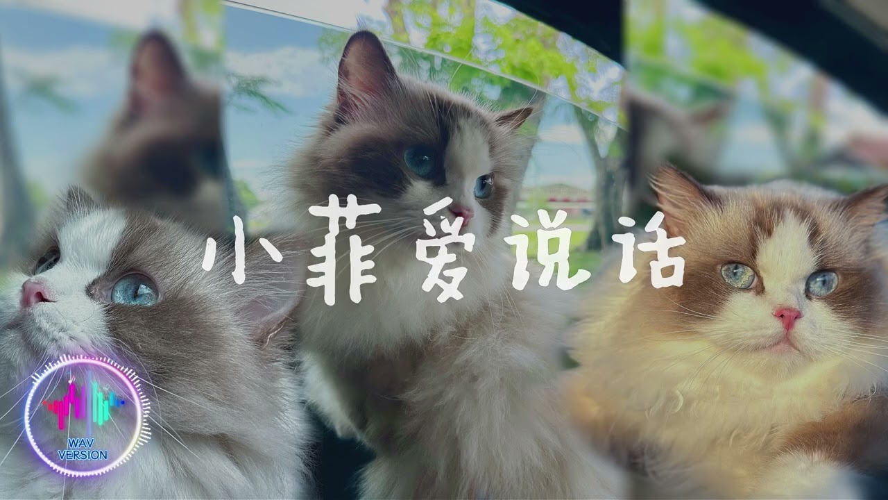 只为你一笑 白大白 [ 是是非非 何必去计较长夜漫漫 你我醉今朝 ]