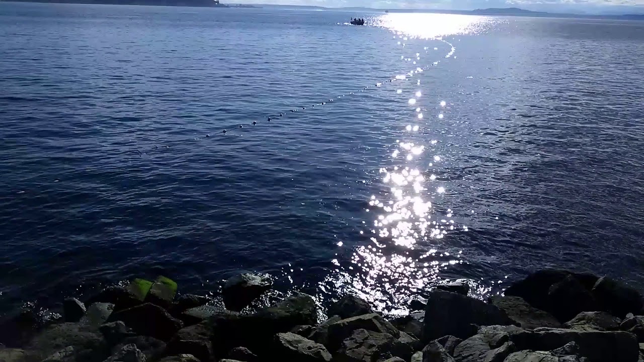 Fishing, Elliot Bay, Puget Sound, Seattle,WA 011