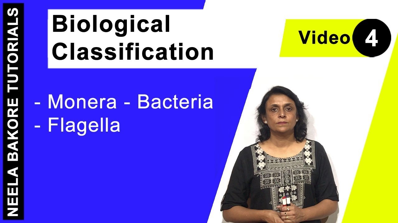 Biological Classification | NEET | Monera - Bacteria - Flagella | Neela Bakore Tutorials