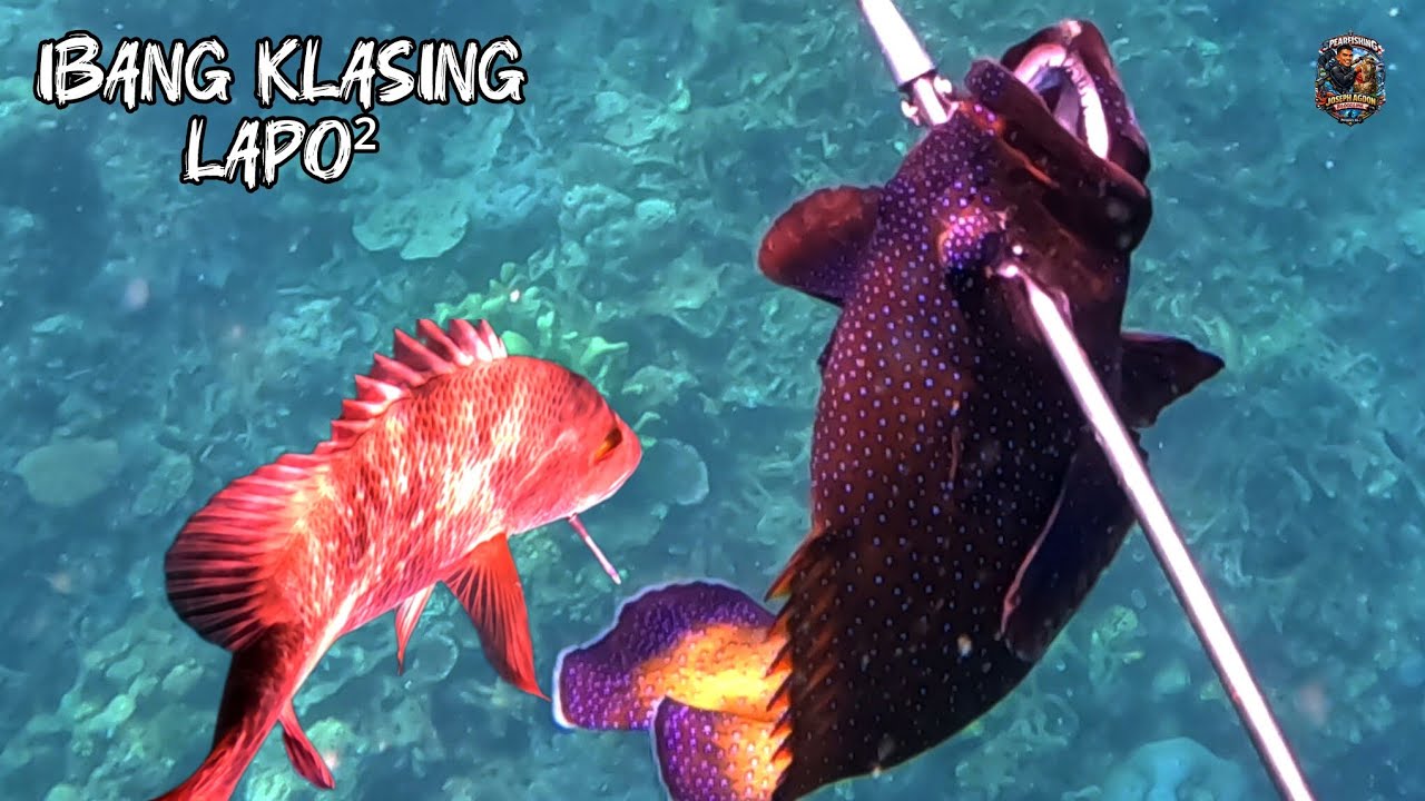 Spearfishing || Ramdam  na ang Taas ng Gas. 